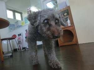 CIMG0371