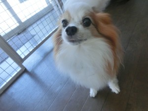 CIMG0371