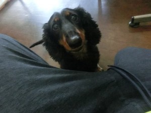 CIMG0372