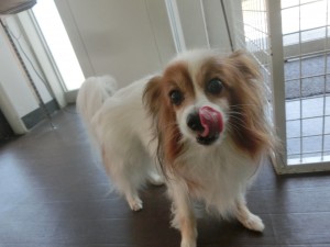 CIMG0373