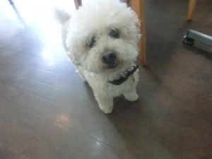 CIMG0374