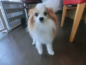 CIMG0374