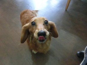 CIMG0381