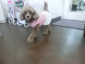 CIMG0383