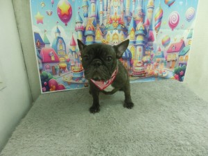 CIMG0384
