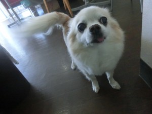 CIMG0392
