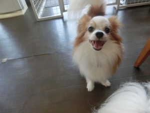 CIMG0393