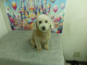 CIMG0400