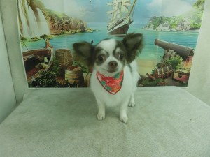 CIMG0403
