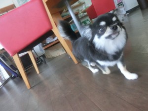 CIMG0411