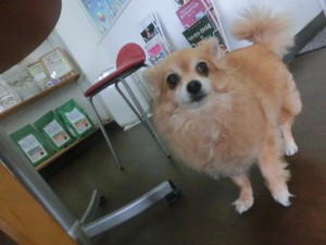 CIMG0418