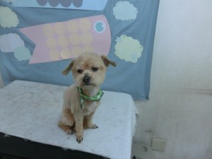 CIMG0423