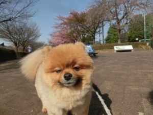 CIMG0425