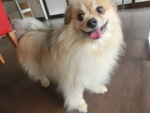 CIMG0431