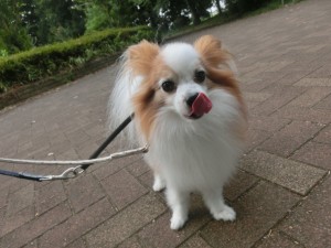 CIMG0434