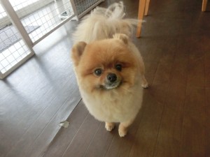 CIMG0438