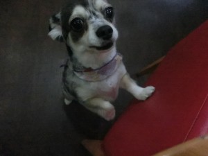 CIMG0438