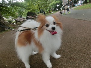 CIMG0442