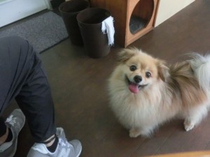 CIMG0443