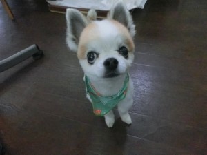 CIMG0446