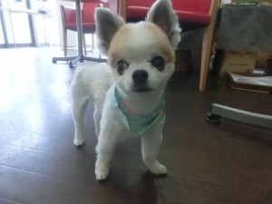 CIMG0449