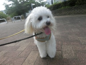 CIMG0454