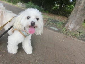 CIMG0455