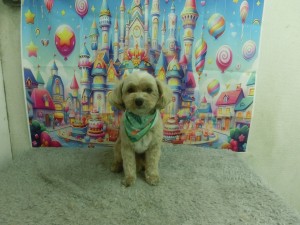 CIMG0456