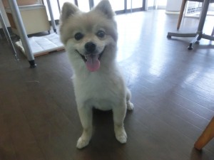 CIMG0457