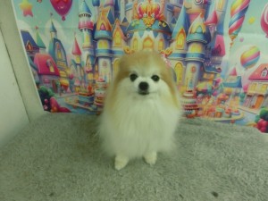 CIMG0470