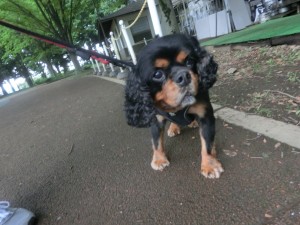 CIMG0480