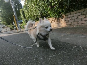 CIMG0481