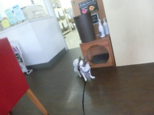 CIMG0490