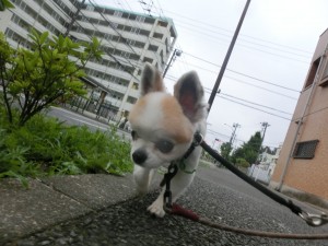 CIMG0493