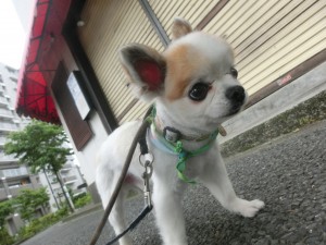 CIMG0494