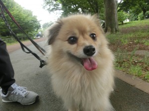 CIMG0502