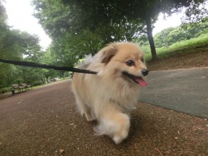 CIMG0504
