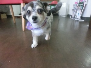 CIMG0504