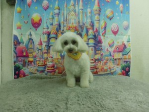 CIMG0506