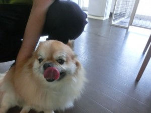 CIMG0509