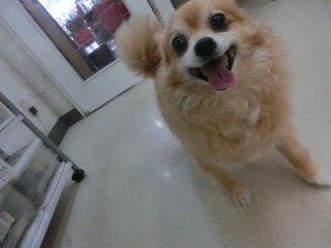 CIMG0514