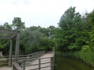 CIMG0518
