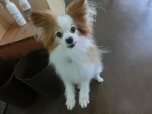CIMG0522