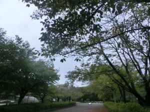 CIMG0523