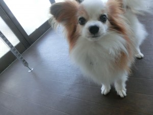 CIMG0526