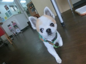 CIMG0526