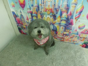 CIMG0529