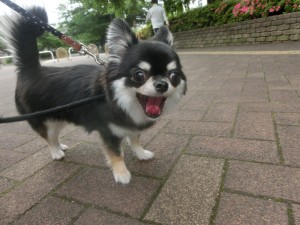 CIMG0531