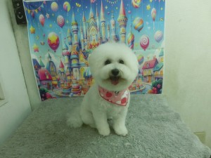 CIMG0532