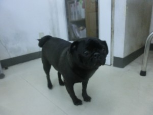 CIMG0533